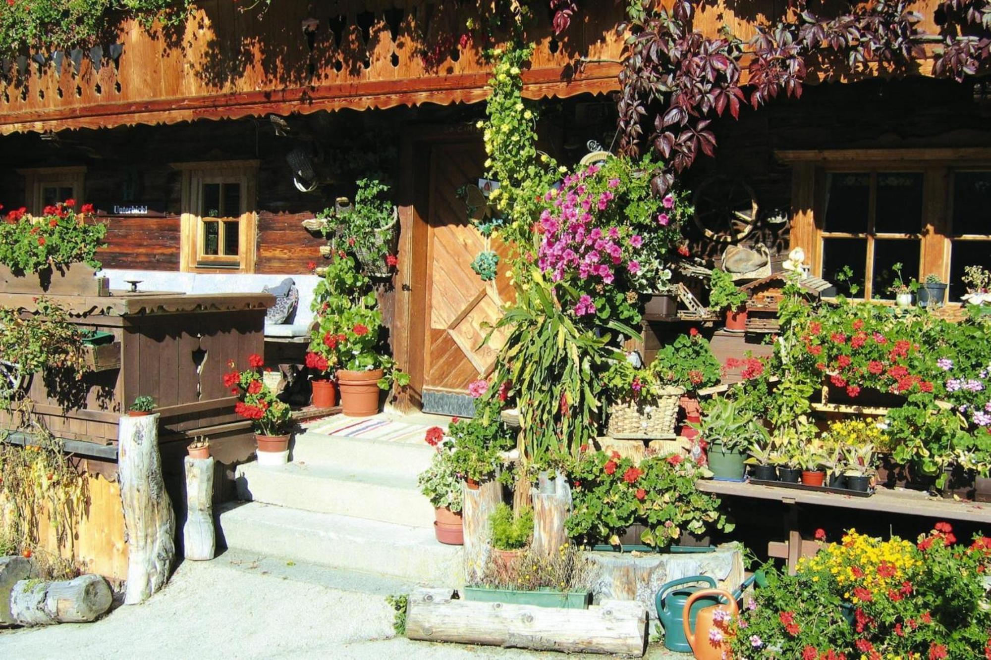 Apartments Schatzberg-Haus, Wildschoenau-Auffach Exteriér fotografie