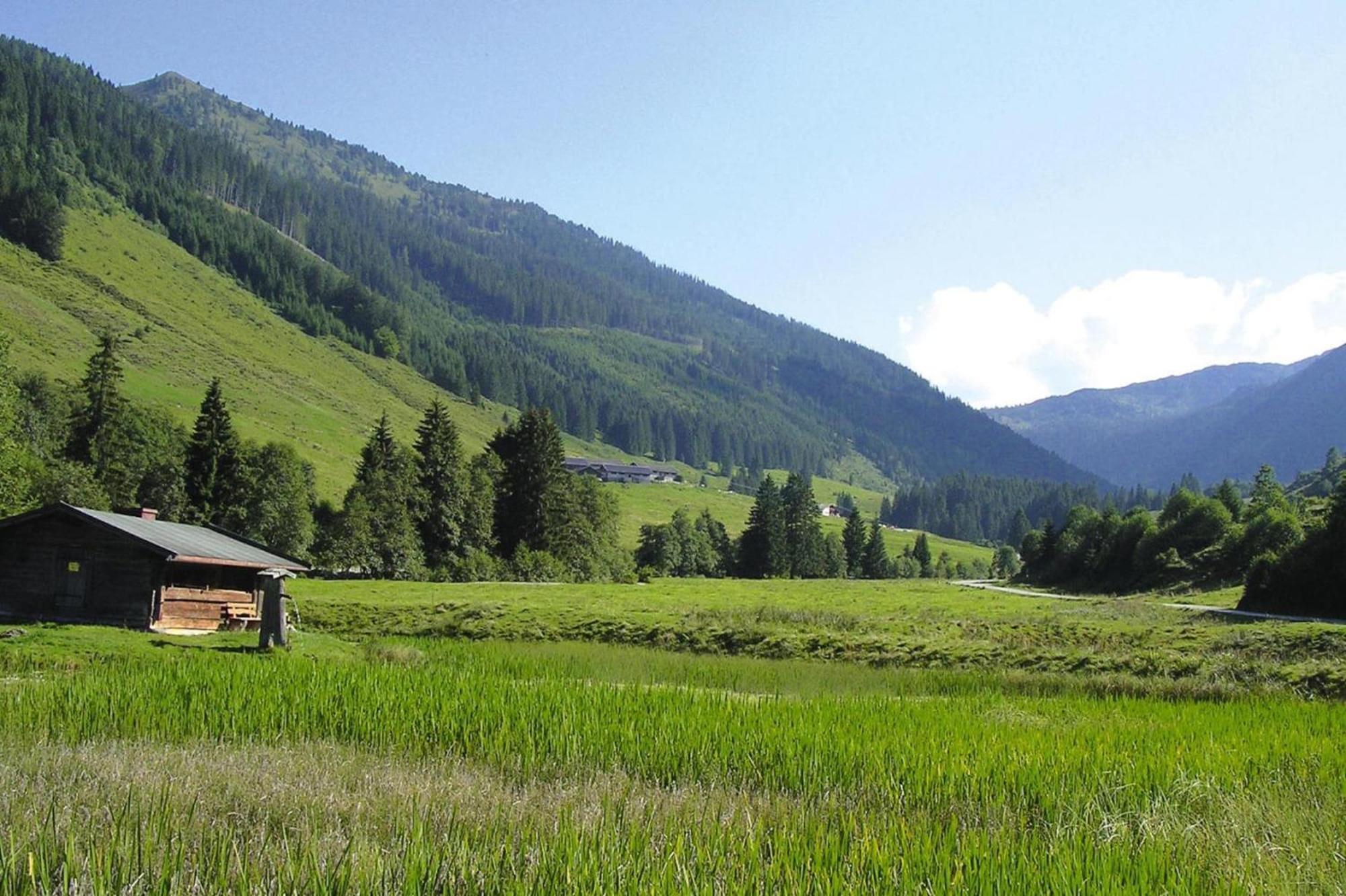 Apartments Schatzberg-Haus, Wildschoenau-Auffach Exteriér fotografie